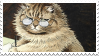 louiswain5